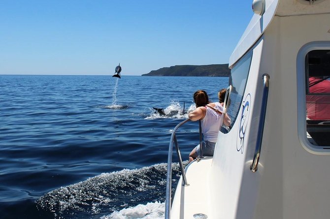 Boat Trip for Dolphin Watching Along the Arrabida Coast and Sesimbra - Meeting Point and Location