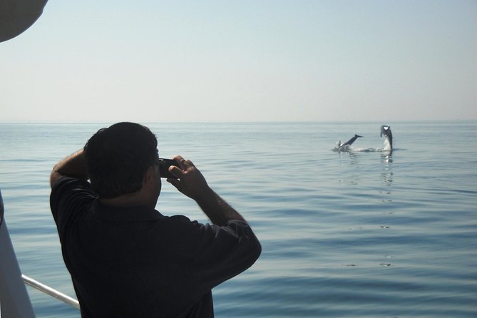 Boat Trip for Dolphin Watching Along the Arrabida Coast and Sesimbra - Accessibility and Participation