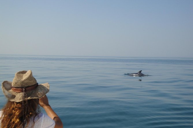Boat Trip for Dolphin Watching Along the Arrabida Coast and Sesimbra - Additional Information