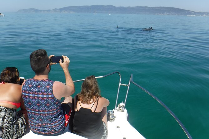 Boat Trip for Dolphin Watching Along the Arrabida Coast and Sesimbra - What to Expect