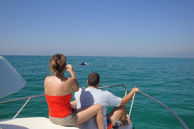 Boat Trip for Dolphin Watching Along the Arrabida Coast and Sesimbra - Reviews Summary