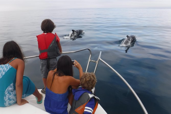 Boat Trip for Dolphin Watching Along the Arrabida Coast and Sesimbra - Getting There