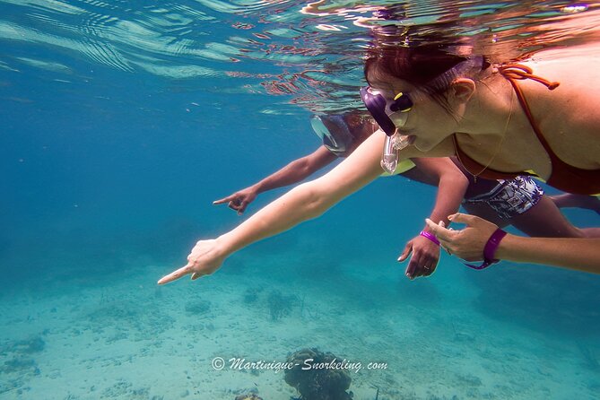 Boat Trip for Snorkeling Discovery of Corals - Overview and Details