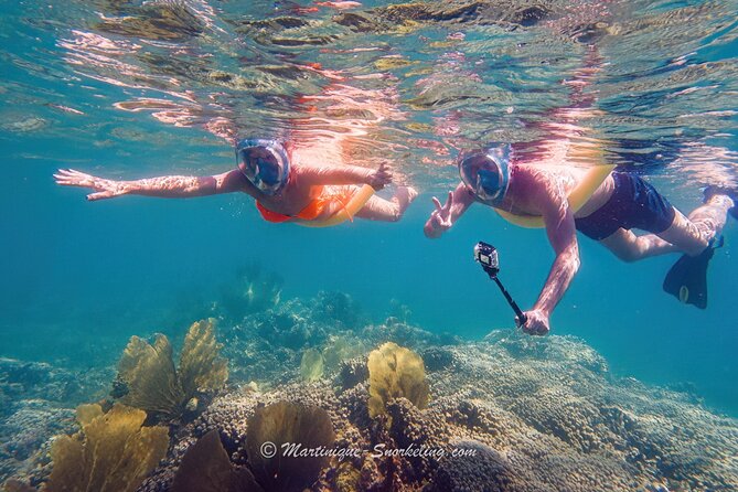 Boat Trip for Snorkeling Discovery of Corals - Customer Feedback Highlights