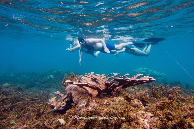 Boat Trip for Snorkeling Discovery of Corals - Location and Meeting Point