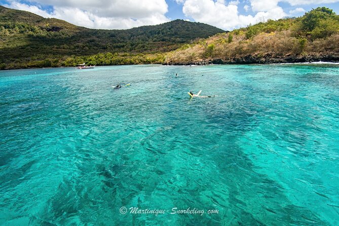 Boat Trip for Snorkeling Discovery of Corals - Maximum Participant Capacity