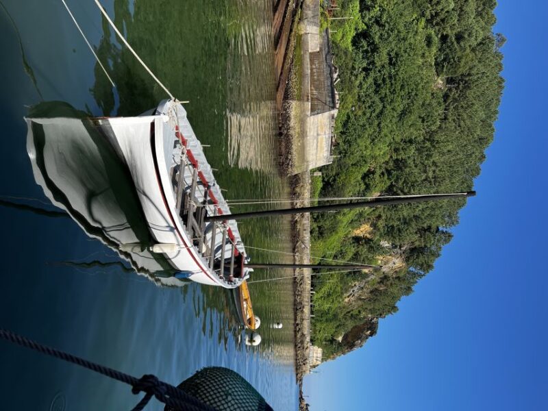 Boat Trip From Donostia San Sebastián to Albaola Museum - Booking and Cancellation