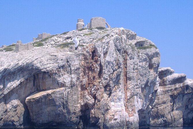 Boat Trip From Zadar to Kornati National Park - Booking and Contact Details