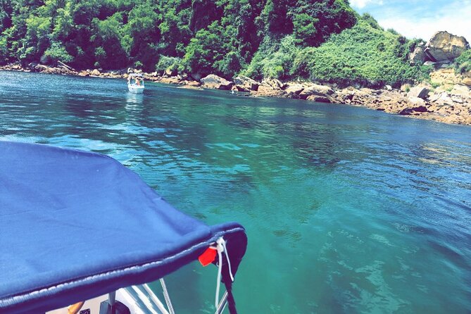 Boat Trip in Biarritz - Basque Coastal Stops