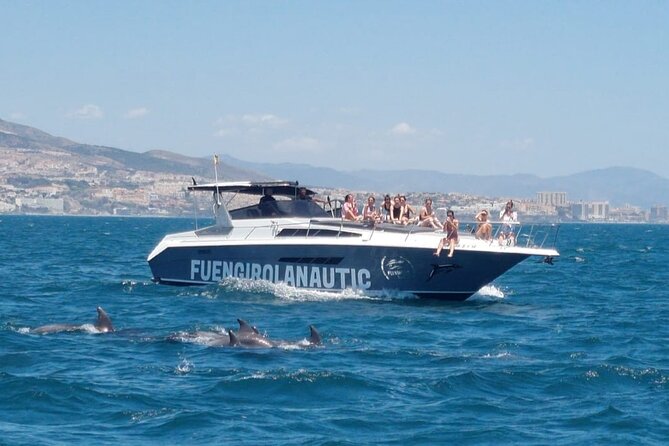 Boat Trip in Fuengirola, Dolphin Watching and Drinks - Meeting and Pickup