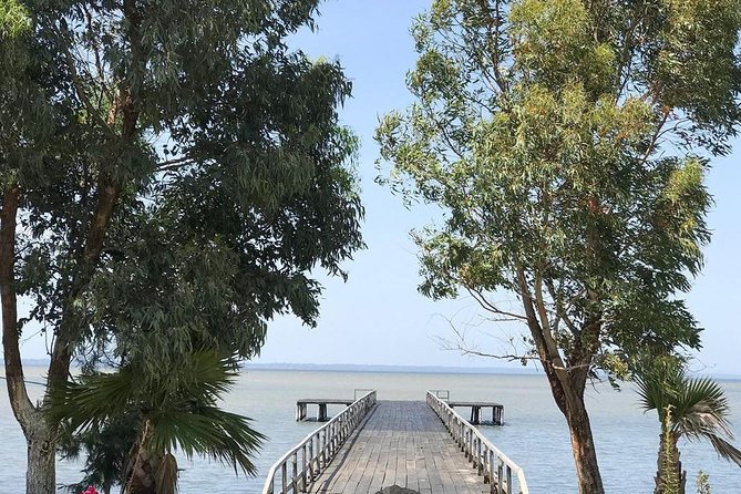 Boat Trip in Karavasta National Park and Apollonia Archaeological Park - Historical Significance of Apollonia