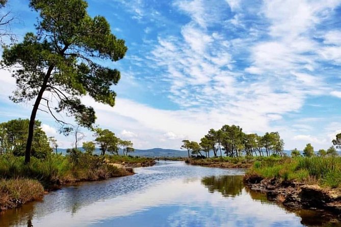 Boat Trip in Karavasta National Park and Apollonia Archaeological Park - Boat Ride Through Wetland Ecosystems