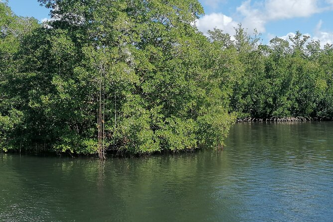 Boat Trip in the Great All-Inclusive Marine Cul-De-Sac - Meeting and Pickup Information