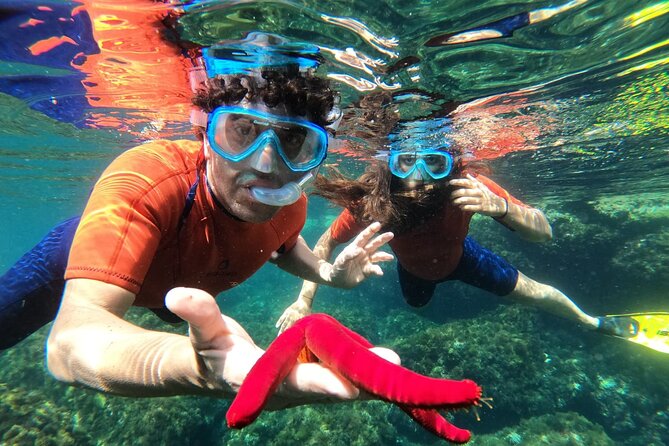 Boat Trip Isola Bella With Snorkeling - Included Amenities