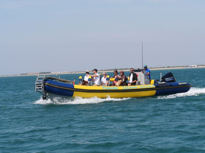 Boat Trip on the Thau Pond - Cancellation Policy