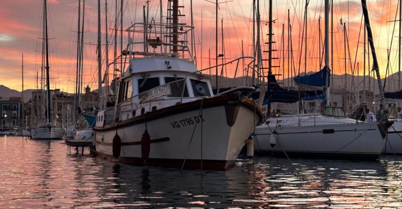 Boat Trip Palermo - Boat Options and Capacity