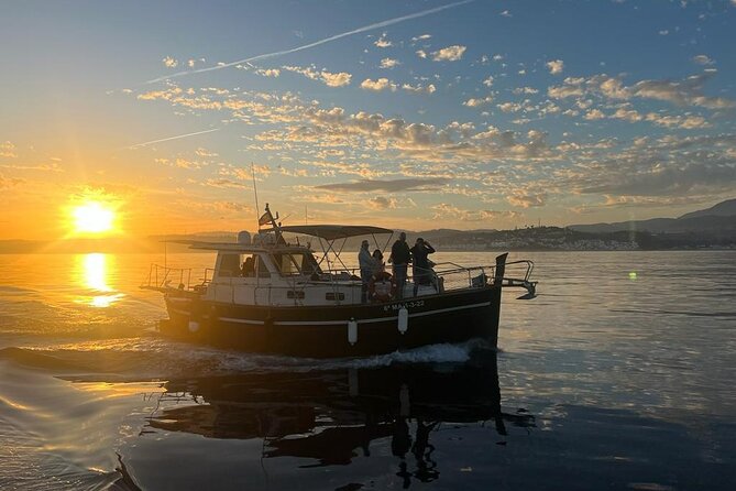 Boat Trip Through the Bay of Estepona - Pricing