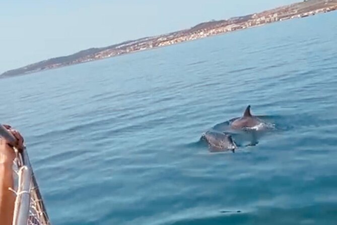 Boat Trip Through the Bay of Estepona - Weather Policy