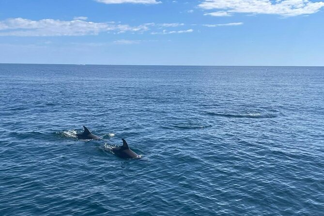 Boat Trip Through the Bay of Estepona - Directions