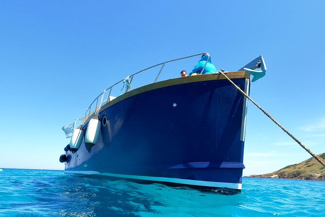 Boat Trip to Asinara With Lunch in Stintino - Nearby Transportation