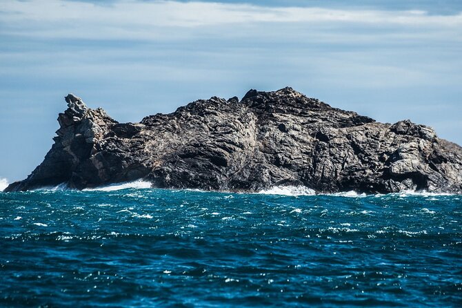 Boat Trip to Cap De Creus + Port Lligat + Cadaqués - Glowing Customer Reviews
