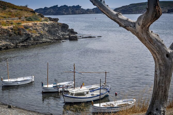 Boat Trip to Cap De Creus + Port Lligat + Cadaqués - Cancellation Policy