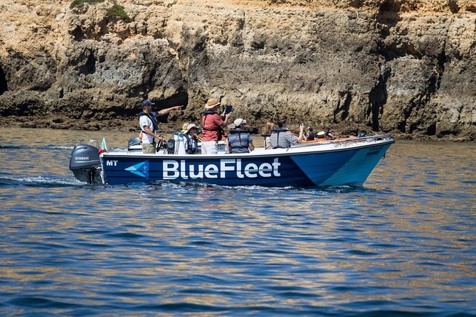 Boat Trip to Ponta Da Piedade From Lagos - Inclusions and Meeting Information