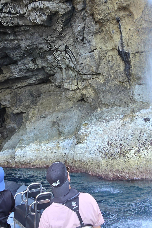 Boat Trip to the Caves and Waterfalls of Flores Island - Key Points