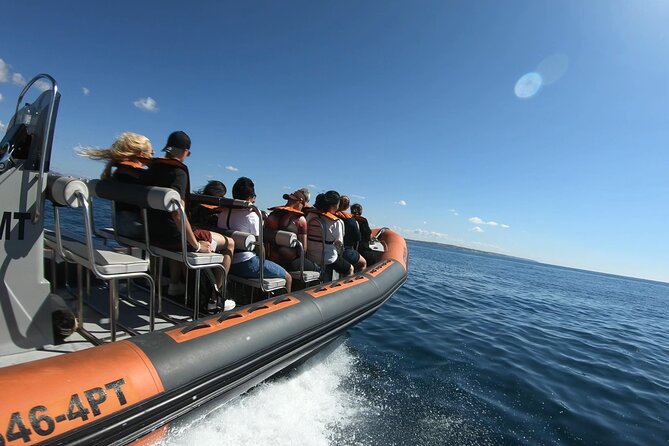 Boat Trip to the Caves of Benagil - Accessibility and Restrictions
