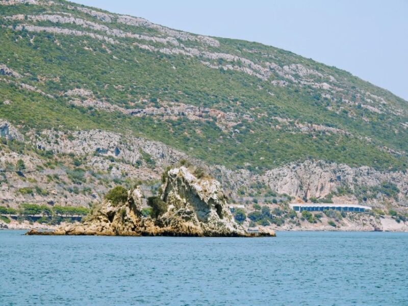 Boat Trip to the Caves Sesimbra - Adapted Wildlife Encounters