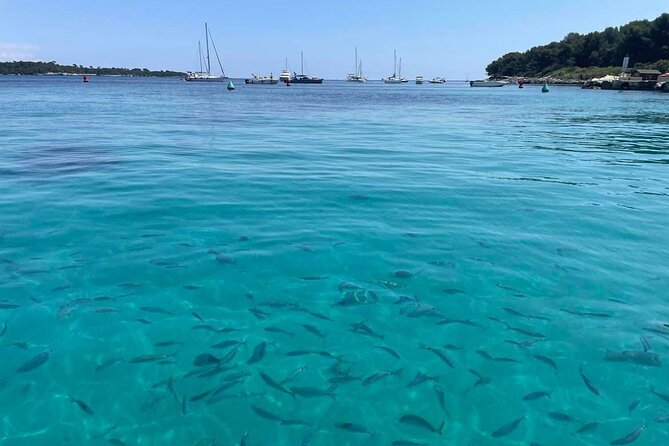 Boat Trip to the Lérins and Cannes Islands - Exploring the Lérins Islands