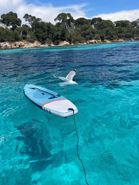Boat Trip to the Lérins Islands and Cannes - Highlights of the Excursion
