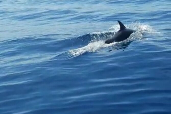 Boat Trip to the Nearby Islands of Zadar - Included Amenities