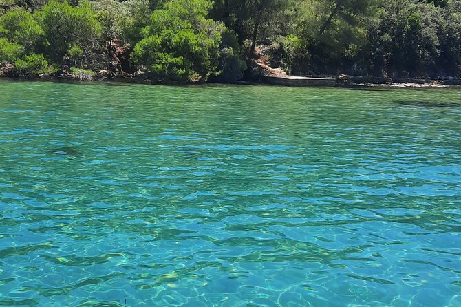 Boat Trip to the Nearby Islands of Zadar - Booking and Payment