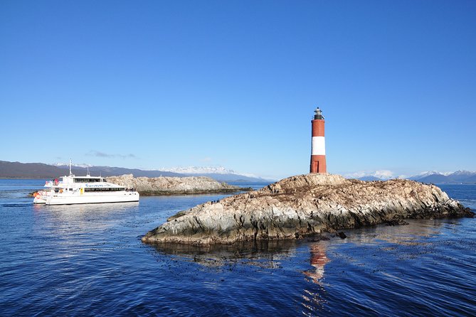 Boat Trip to the Penguin Colony on Martillo Island - Highlights of the Itinerary