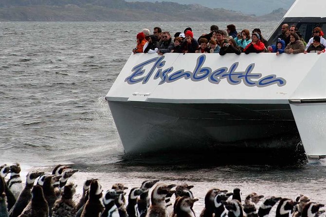 Boat Trip to the Penguin Colony on Martillo Island - Accessibility and Age Restrictions