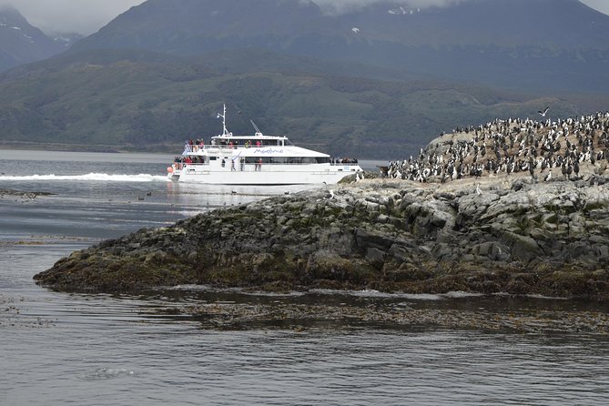 Boat Trip to the Penguin Colony on Martillo Island - Cancellation Policy