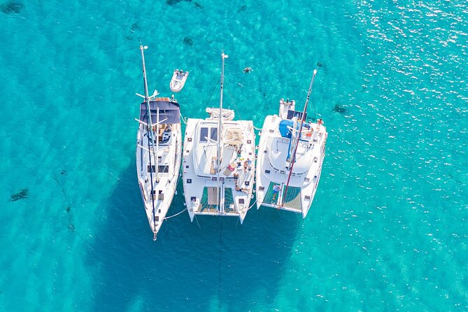 Boat Trip Valencia - Company Background and Expertise