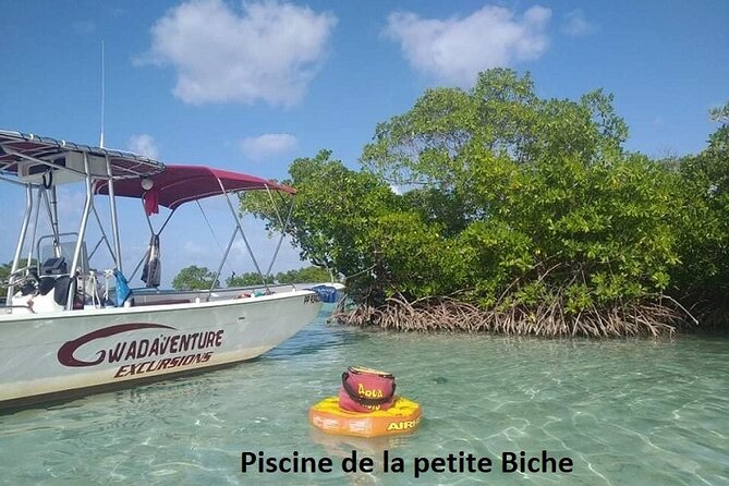 Boat Trip Visit Mangroves, Islets and Lagoon - Participation Requirements