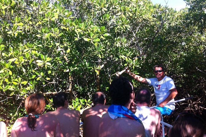 Boat Trip Visit Mangroves, Islets and Lagoon - Customer Feedback and Experiences