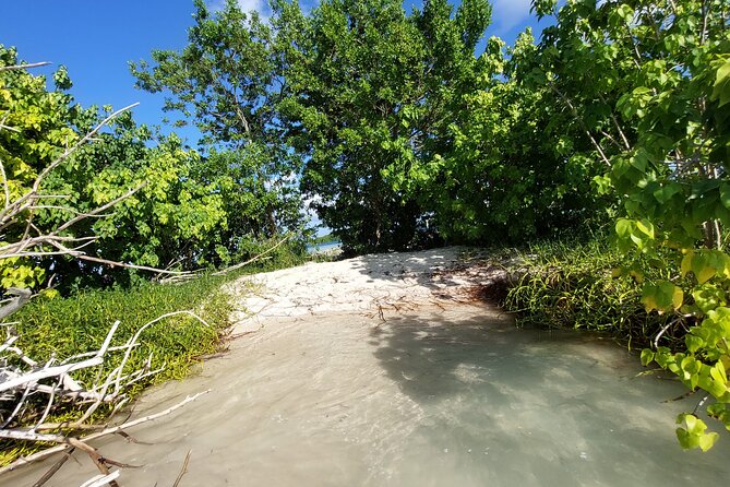 Boat Trip Visit Mangroves, Islets and Lagoon - Practical Tips