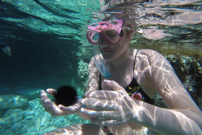 Boat Trip With Guided Snorkeling Tour & SUP in Chania - Included Tour Amenities