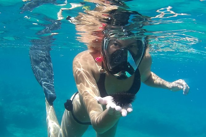 Boat Trip With Guided Snorkeling Tour & SUP in Chania - Guest Reviews and Accolades