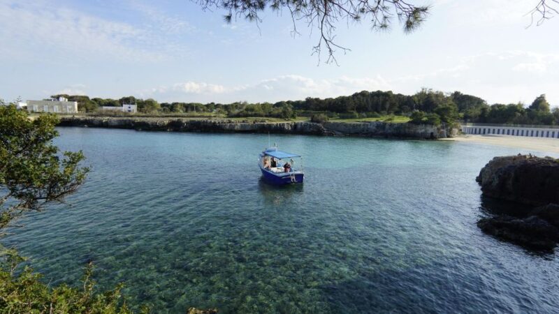 Boat Trip With Snorkeling (Monopoli) - Key Points