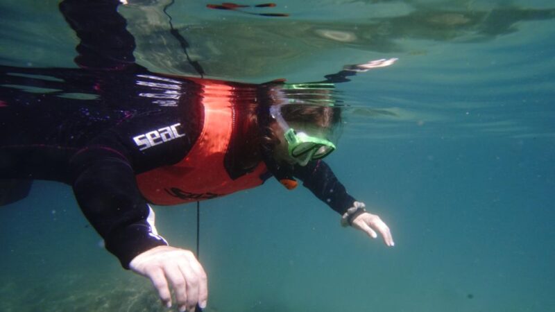 Boat Trip With Snorkeling (Monopoli) - Activity Overview