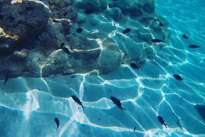 Boat Trips With Zorro - Private Tour Experience