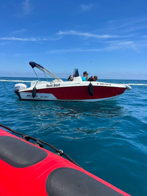 Boat Without a License - Pricing and Reservations