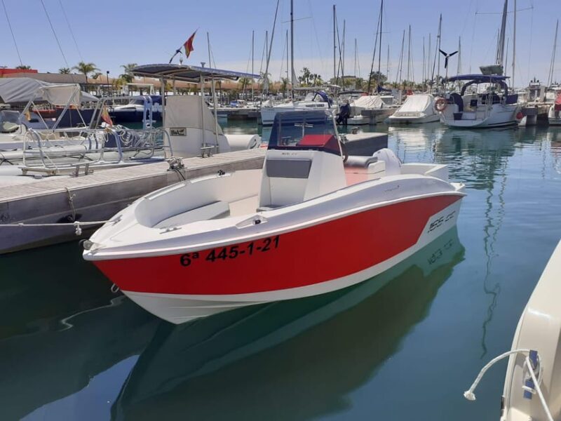 Boat Without a License - Experience Highlights