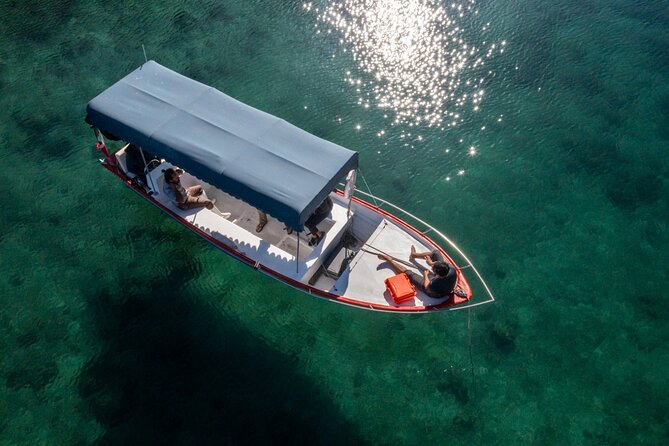 Boating Along the Coastline of San Carlos With a Marine Biologist - Health and Safety Considerations
