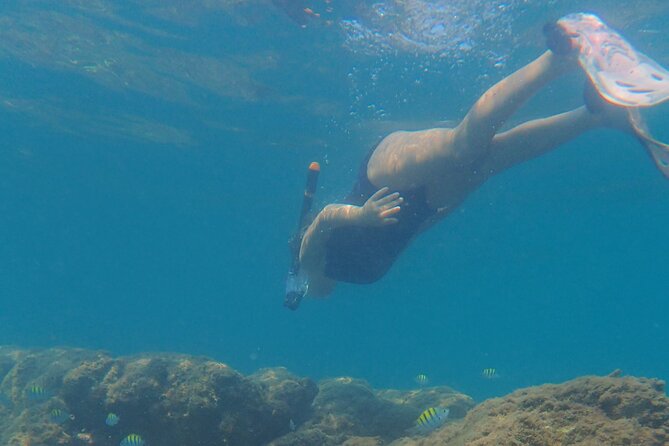 Boating Along the Coastline of San Carlos With a Marine Biologist - Customer Review Highlights